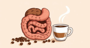 Coffee and Gut Health