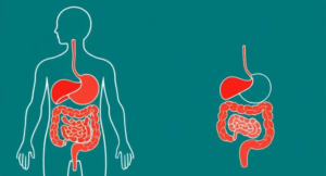 gut inflammation