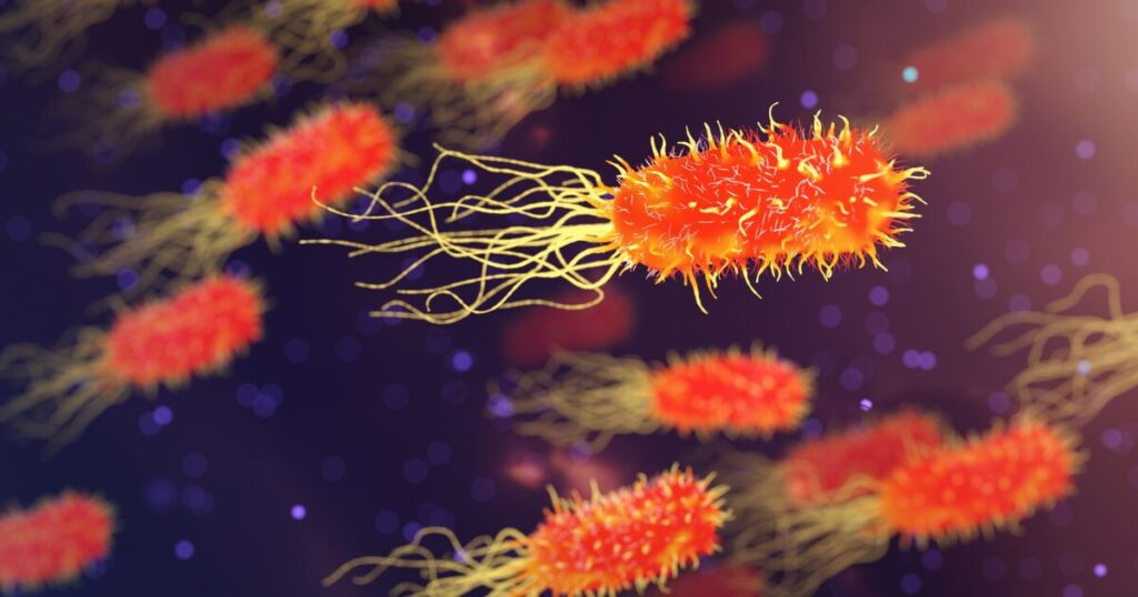 gut microbiome 